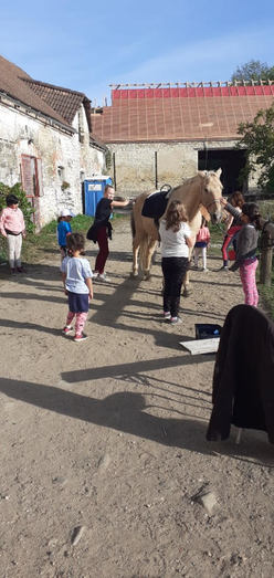 děti z DD hřebelcují koně.jpg