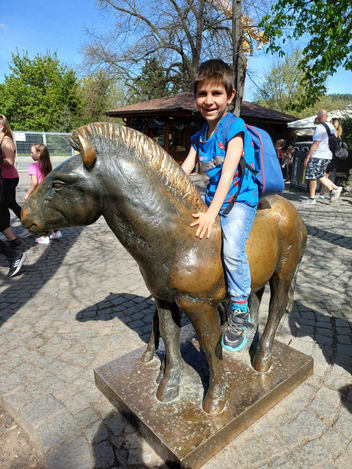 chlapec z DD na koni v ZOO Praha.jpg